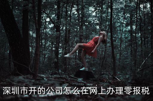 深圳市開(kāi)的公司怎么在網(wǎng)上辦理零報(bào)稅