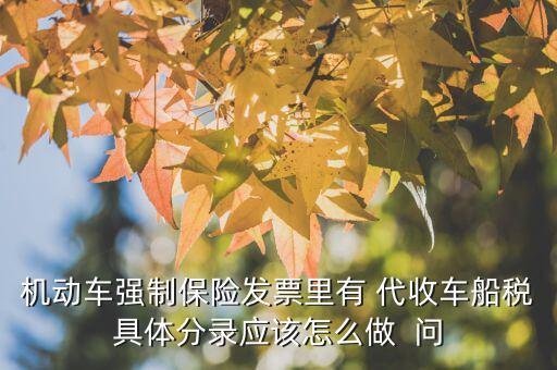 代收車船費(fèi)如何記賬，機(jī)動(dòng)車強(qiáng)制保險(xiǎn)發(fā)票里有 代收車船稅具體分錄應(yīng)該怎么做  問