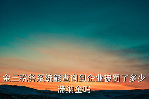 稅務(wù)部門(mén)的行政處罰如何查詢，公司的稅務(wù)罰款去哪里查詢急