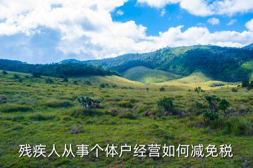 個(gè)稅申報(bào) 殘疾人如何減免，殘疾人從事個(gè)體戶經(jīng)營(yíng)如何減免稅
