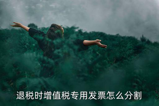 申報退稅如何分批，同一個退稅申報期內可以申報2個批次嗎