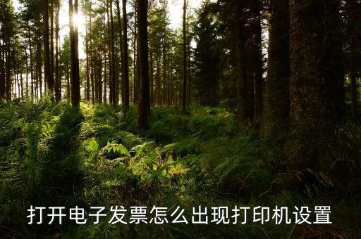 航天電子發(fā)票如何打印機設(shè)置，打開電子發(fā)票怎么出現(xiàn)打印機設(shè)置