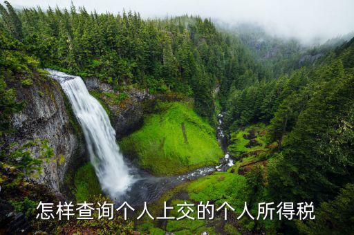 如何查詢個(gè)人稅務(wù)信息，怎樣查詢個(gè)人上交的個(gè)人所得稅