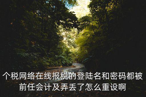 個稅網(wǎng)絡(luò)在線報稅的登陸名和密碼都被前任會計及弄丟了怎么重設(shè)啊