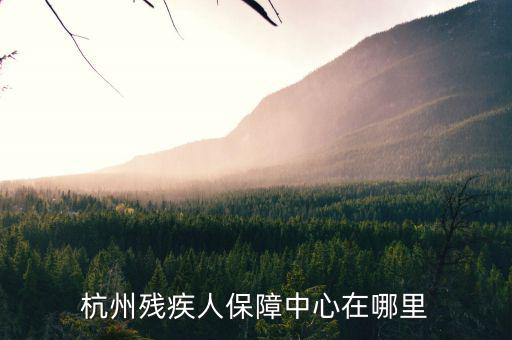 杭州市殘保證如何申請(qǐng)，杭州殘疾人保障中心在哪里