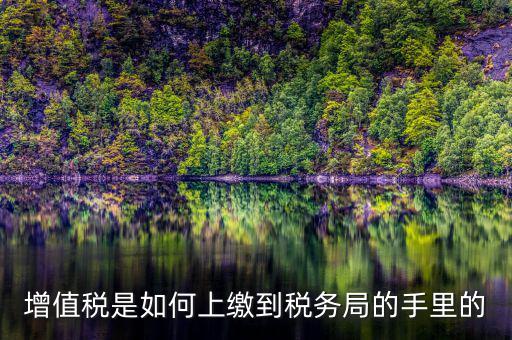 如何在稅務(wù)大廳納稅繳納稅款，在稅務(wù)大廳怎么繳納已申報(bào)稅款