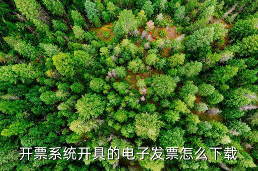 稅友的電子發(fā)票如何下載，開票系統(tǒng)開具的電子發(fā)票怎么下載