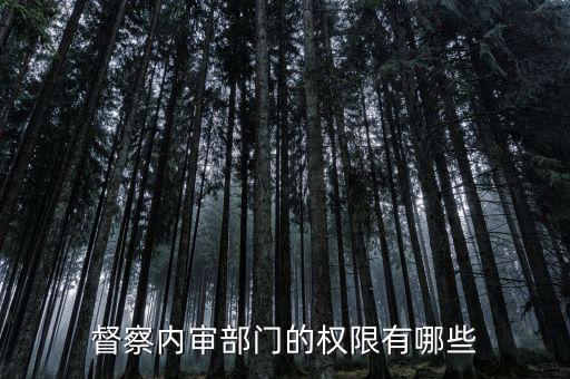 督察內(nèi)審部門的權限有哪些