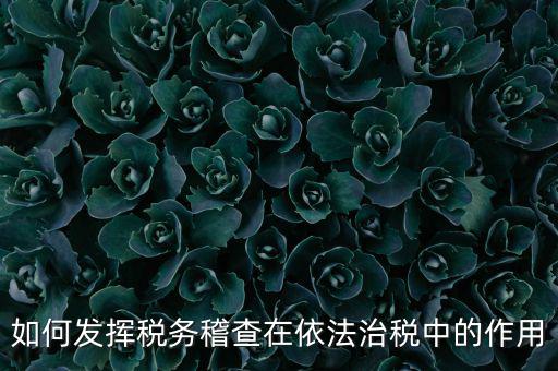 稽查部門(mén)如何優(yōu)化稅收營(yíng)商環(huán)境，如何充分發(fā)揮稽查職能作用更好服務(wù)于全省稅收征管工作發(fā)展大局