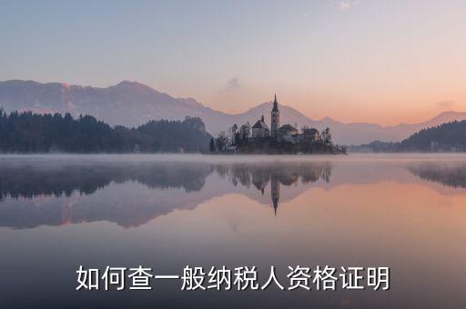 如何查一般納稅人資格，如何查一般納稅人資格證明