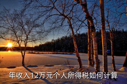 如何計算12萬申報，年收入12萬元個人所得稅如何計算