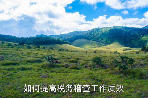 如何提高國稅稽查工作質(zhì)效，如何提高稅務(wù)稽查工作質(zhì)效