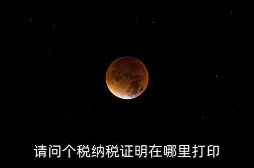 如何打印個稅證明，請問個稅納稅證明在哪里打印