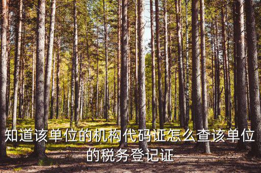 如何查企業(yè)稅務(wù)局登記，公司的稅務(wù)登記證號(hào)怎么查詢