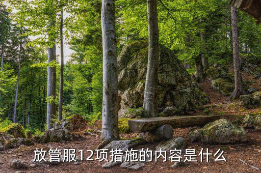 在放管服中如何加強審計稽察，放管服12項措施的內(nèi)容是什么