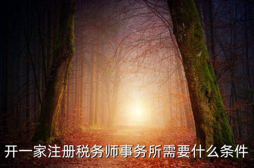 開一家注冊稅務師事務所需要什么條件