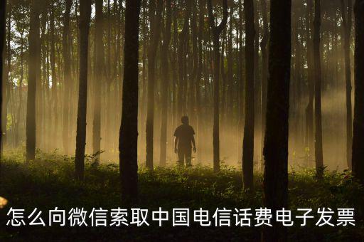 發(fā)票幫公眾號(hào)如何使用，9月1號(hào)預(yù)付微信公眾號(hào)300元9月6號(hào)收到發(fā)票要怎么做賬