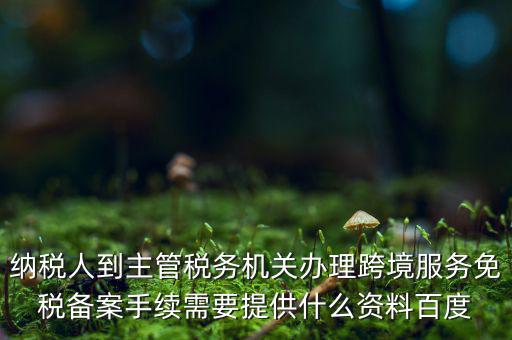 納稅人到主管稅務機關辦理跨境服務免稅備案手續(xù)需要提供什么資料百度