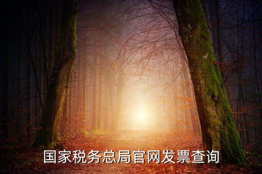 江蘇國(guó)稅如何查詢發(fā)票，江蘇發(fā)票真?zhèn)尾樵內(nèi)绾尾樵兘K發(fā)票真?zhèn)尾樵內(nèi)绾尾樵冏钪匾氖沁M(jìn)