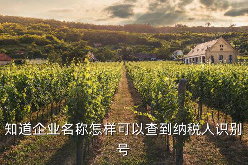 知道企業(yè)名稱(chēng)怎樣可以查到納稅人識(shí)別號(hào)