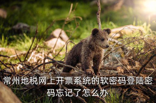 江蘇省電子稅務(wù)局如何找回密碼，稅務(wù)電子申報軟件密碼忘記該怎么辦