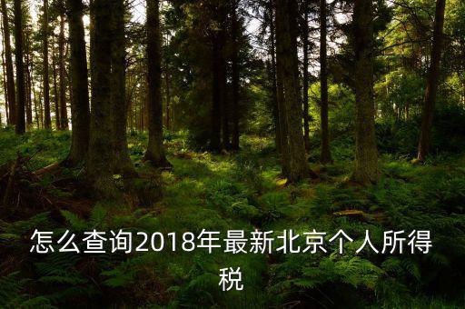 北京如何查詢個(gè)稅完稅證明，怎么查詢2018年最新北京個(gè)人所得稅