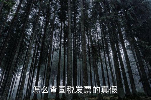 國稅如何驗證發(fā)票，增值稅發(fā)票網(wǎng)上怎么認證