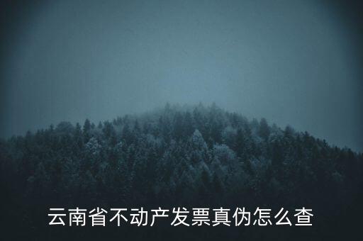 不動產統(tǒng)一發(fā)票如何查詢真?zhèn)?，銷售不動產統(tǒng)一發(fā)票真假怎么辨別