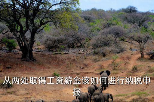 多出取得工資 如何申報(bào)個(gè)稅，個(gè)人多處取得所得如何申報(bào)繳納個(gè)稅