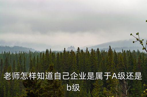 企業(yè)級別如何查，企業(yè)資質等級怎樣查