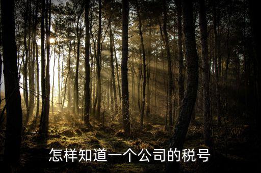 單位稅號(hào)如何查詢，知道公司名字怎么查稅號(hào)嗎