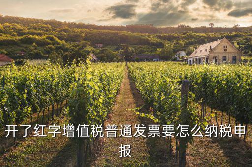 紅字進(jìn)項如何申報，開了紅字增值稅普通發(fā)票要怎么納稅申報