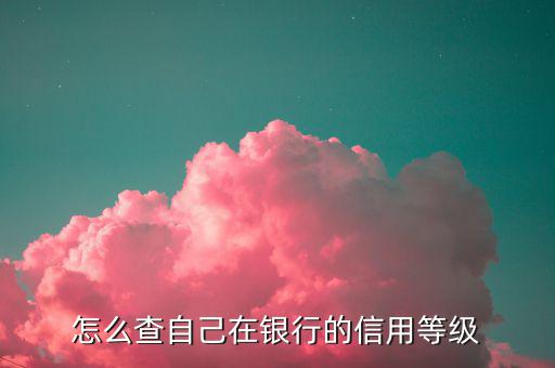 如何查納稅人信用等級，如何確認企業(yè)為納稅信用A級增值稅一般納稅人