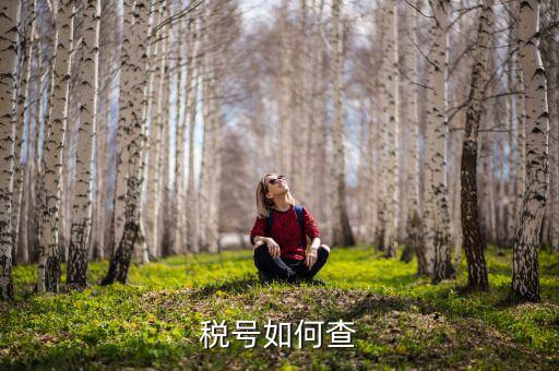 武漢如何查公司稅號，有誰知道公司名怎么查公司稅號