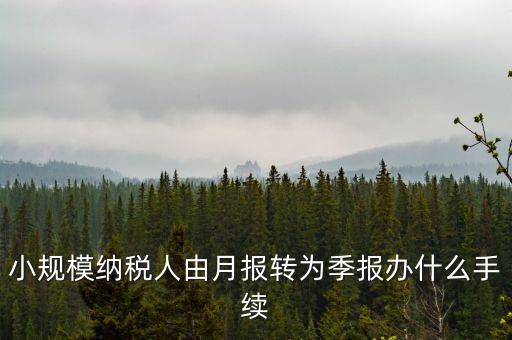 小規(guī)模附加稅如何改成按季申報，小規(guī)模納稅人增值稅按月申報可以改為按季度申報嗎