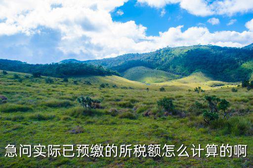急問(wèn)實(shí)際已預(yù)繳的所稅額怎么計(jì)算的啊