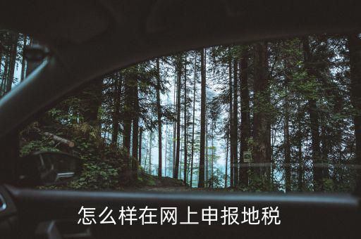 地稅網(wǎng)站如何注冊，地稅網(wǎng)上申報注冊怎么操作