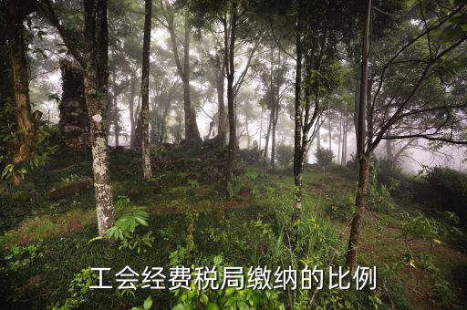 稅局代收的工會經費應如何交納，稅務局代收的工會經費怎么交