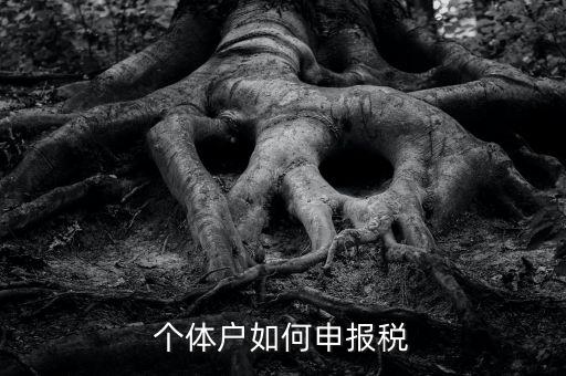 個(gè)體工商戶稅如何申報(bào)，個(gè)體工商戶個(gè)稅怎么報(bào)
