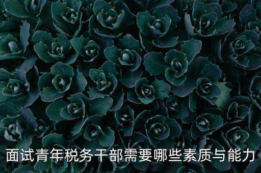 稅務年輕干部如何培養(yǎng)，面試青年稅務干部需要哪些素質與能力