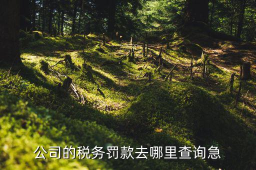 如何查稅收違法記錄，公司的稅務(wù)罰款去哪里查詢急