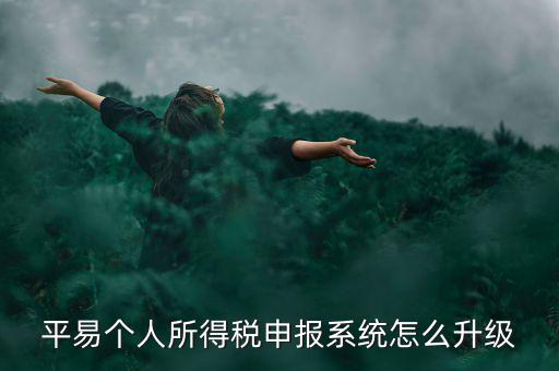 個(gè)稅如何在線升級(jí)，個(gè)稅系統(tǒng)的版本號(hào)V12146如何升級(jí)V12159