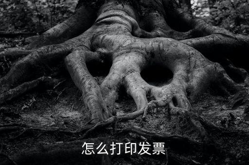 億企贏攜稅寶發(fā)票如何打印，這樣怎么打印電子發(fā)票