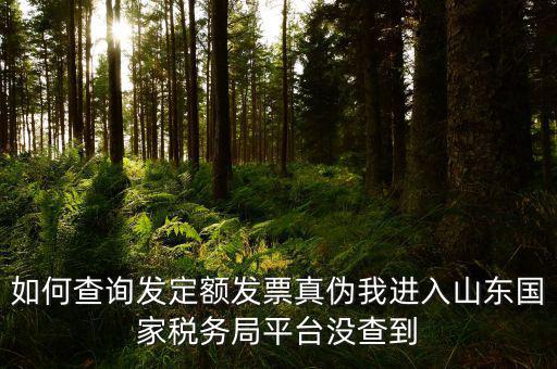 公交卡定額發(fā)票如何查詢真?zhèn)?，如何查詢發(fā)定額發(fā)票真?zhèn)挝疫M入山東國家稅務局平臺沒查到