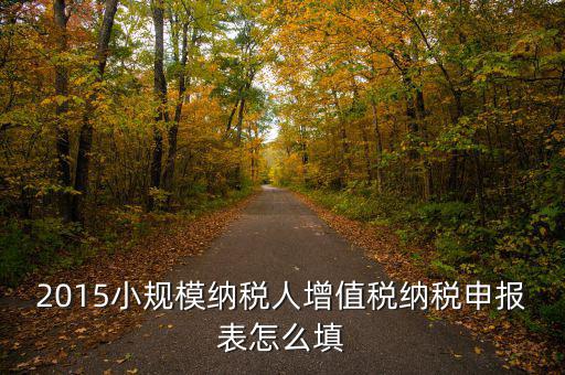 小規(guī)模納稅人國稅申報表如何填，小規(guī)模納稅人的報表怎么填
