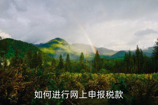 如何進行網上申報稅款