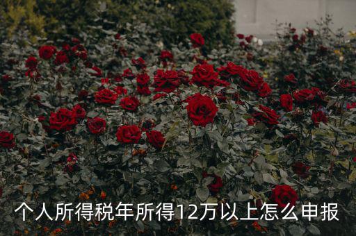 陜西地稅 12萬以上如何申報(bào)，個(gè)人所得稅年所得12萬以上怎么申報(bào)