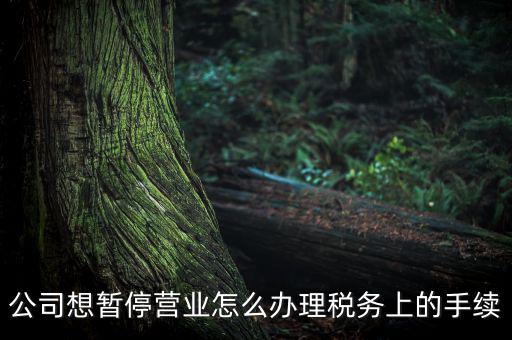 北京市如何辦理單位稅務暫停，企業(yè)暫停營業(yè)怎么辦理