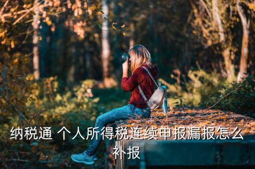 源泉扣繳如何補申報，個人所得稅代扣代繳系統(tǒng) 補申報怎樣操作
