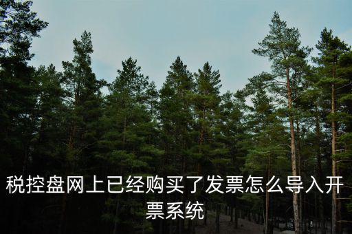 如何網(wǎng)上開票系統(tǒng)，稅控盤網(wǎng)上已經(jīng)購(gòu)買了發(fā)票怎么導(dǎo)入開票系統(tǒng)